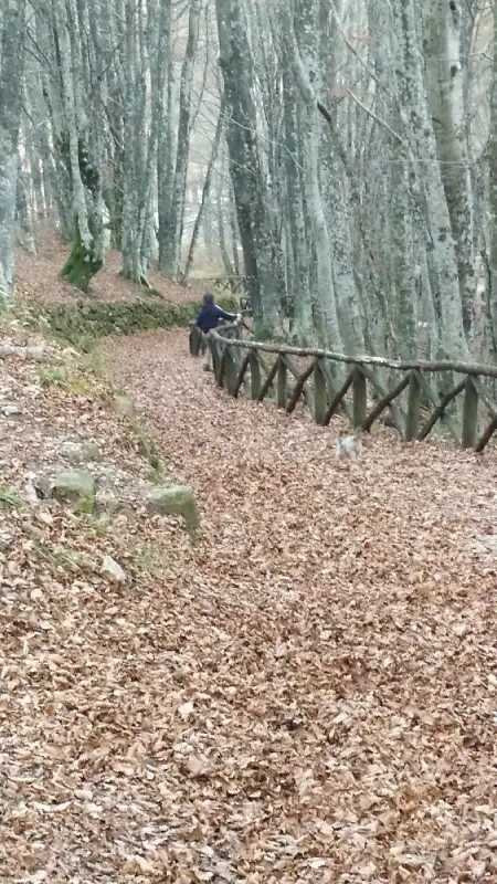 Sorgente del Tevere景点图片
