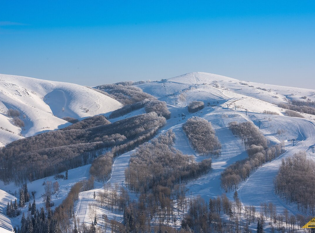 Altaiskiye Alpy景点图片