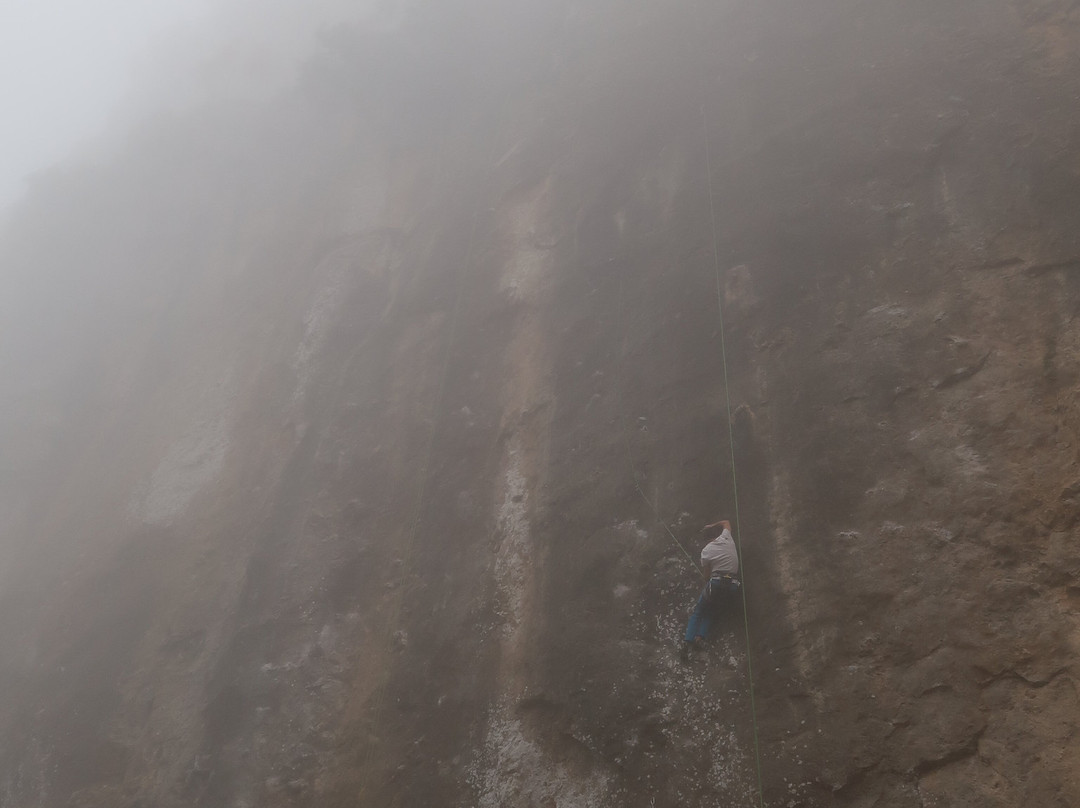 B&B Taccu Maccu主图