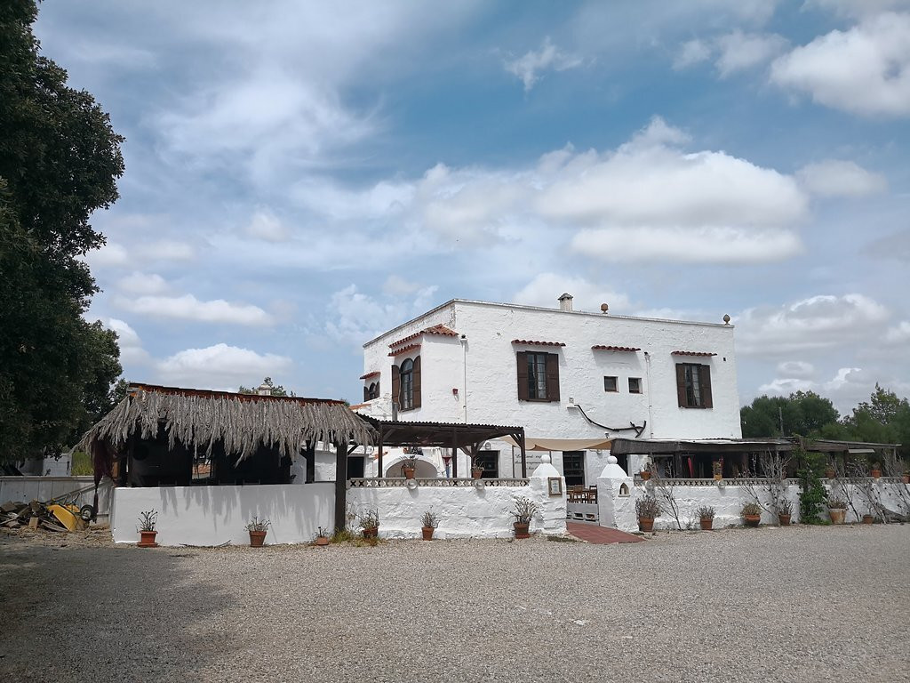 Son Vitamina旅游攻略图片