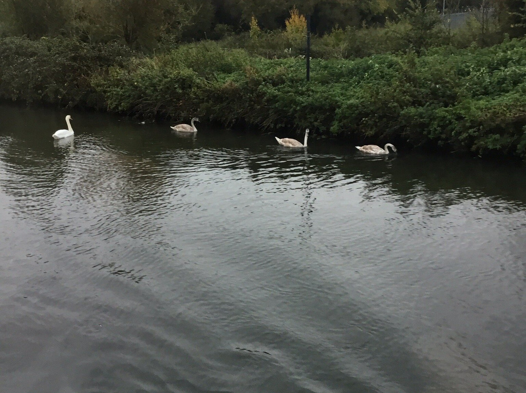Gloucester and Sharpness Canal-格洛斯特必去景点