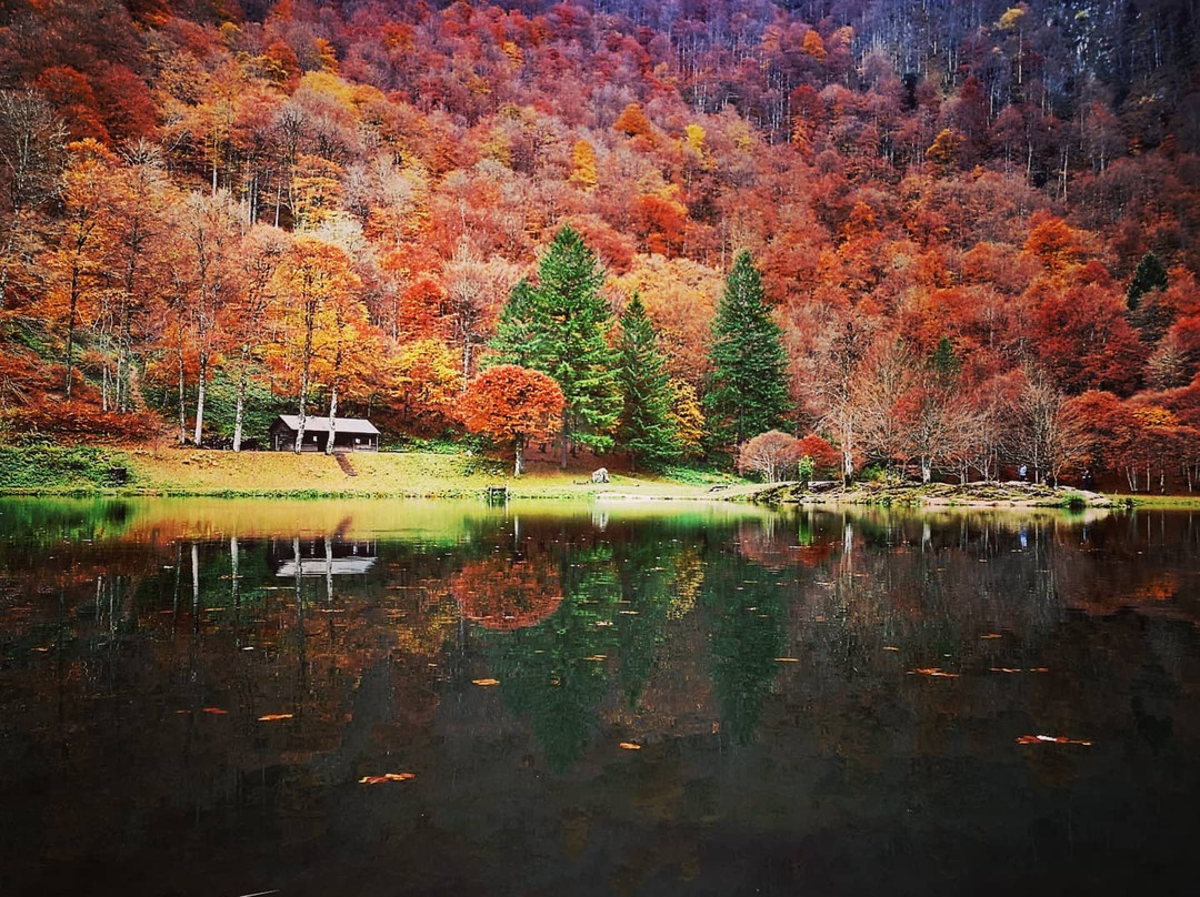Lac de Bethmale-Bethmale必去景点
