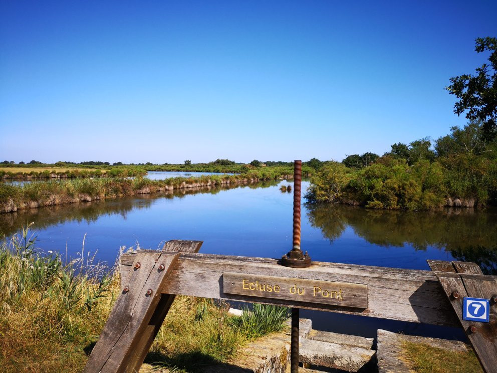 Domaine de Certes et Graveyron-Audenge必去景点