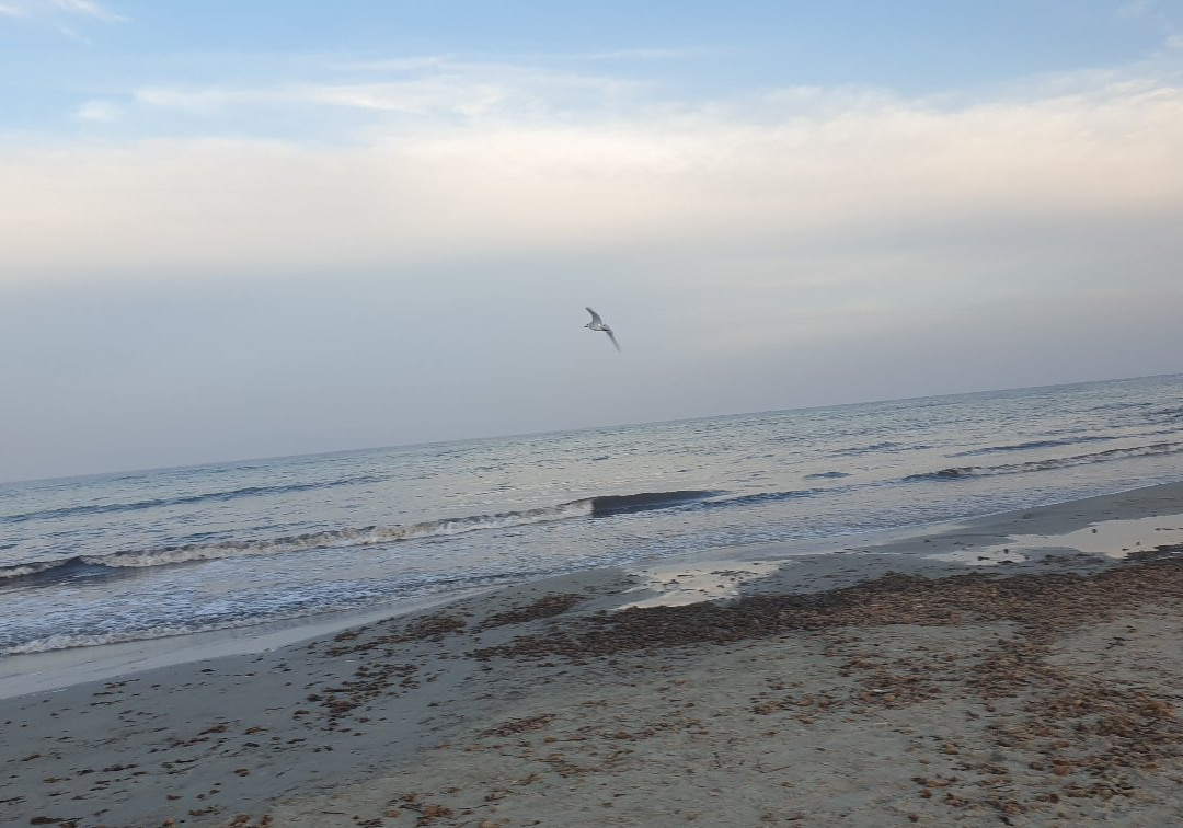 Playa de la Torre Derribada-San Pedro del Pinatar必去景点