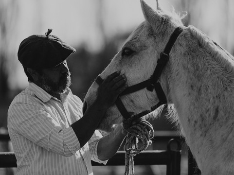 GAUCHO ESTATE-门多萨必去景点