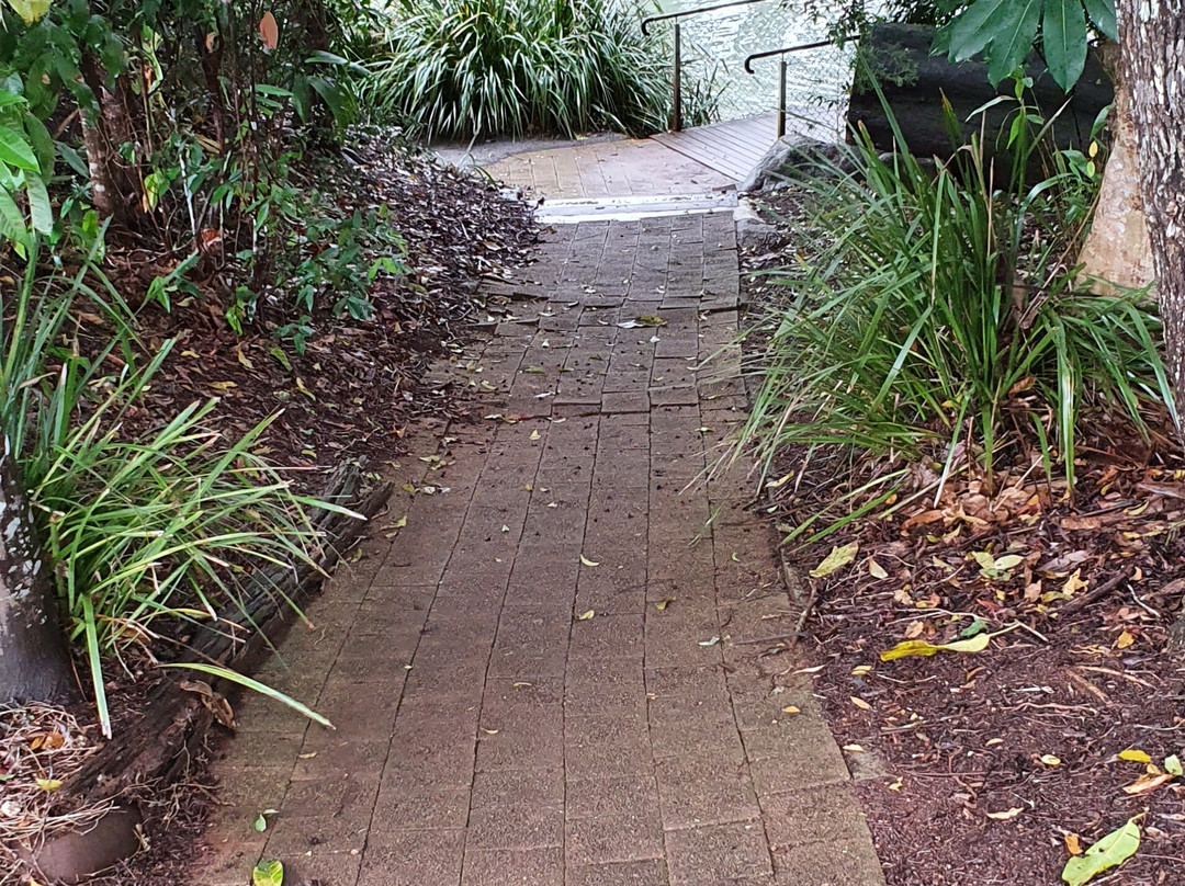 Platypus Park- 阿瑟顿必去景点