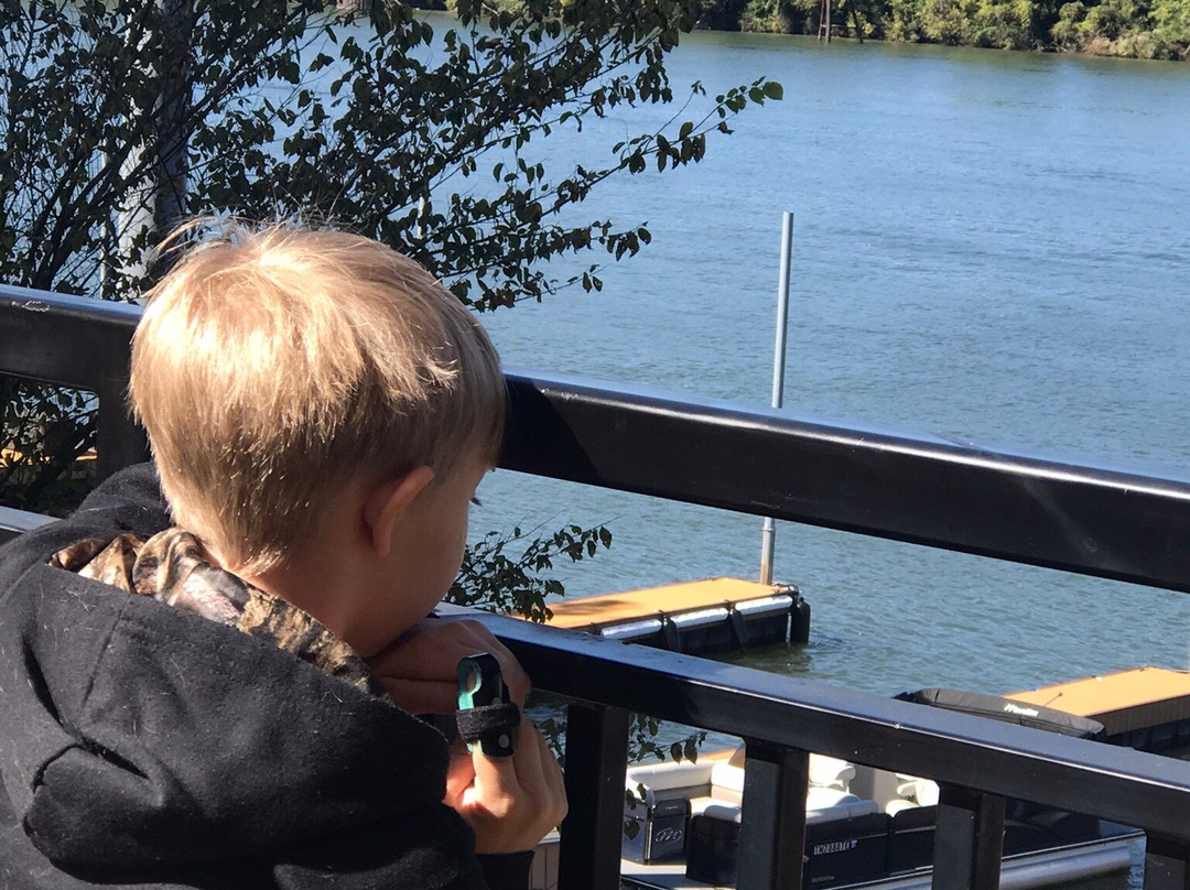 SpringHill Suites by Marriott Chattanooga Downtown/Cameron Harbor主图