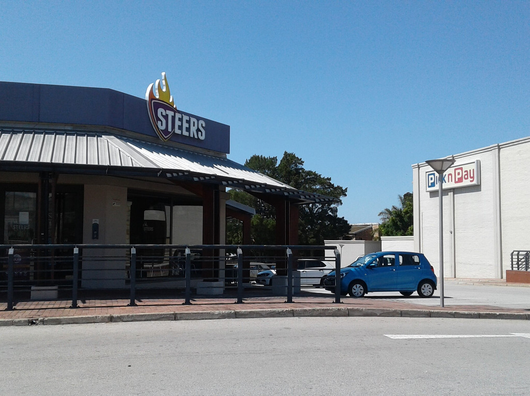 Steers