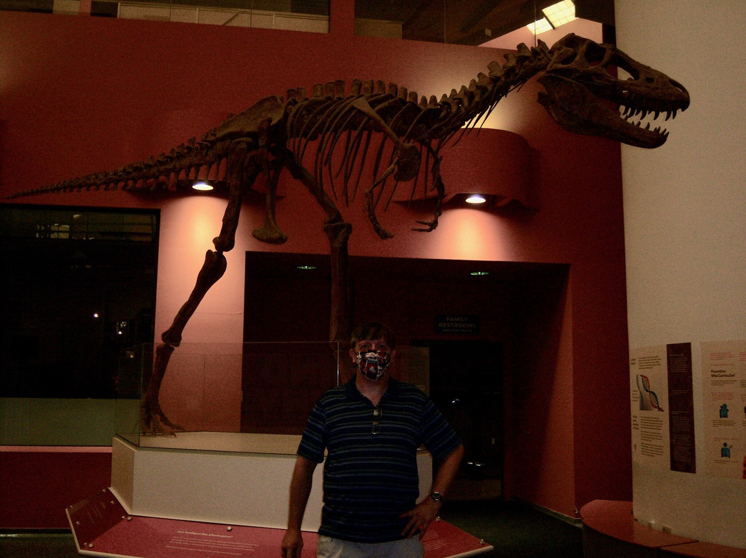 Buffalo Museum of Science-水牛城必去景点