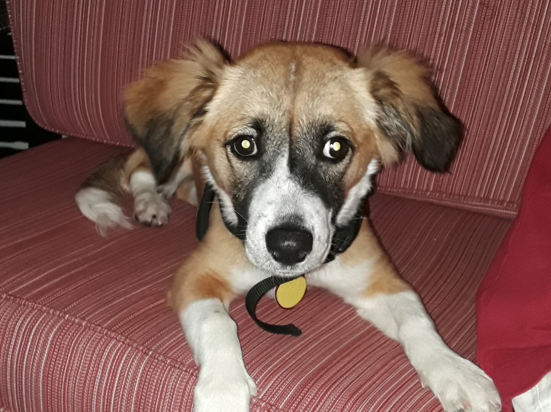 15 Church Street B&B主图