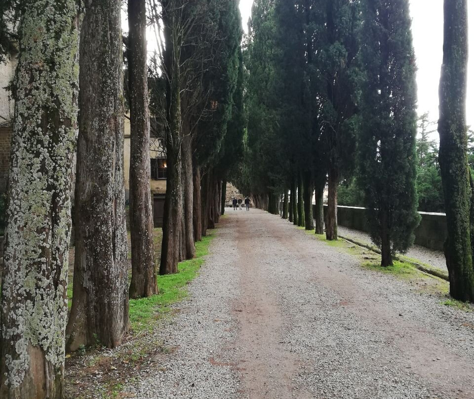 Abbazia di San Michele Arcangelo a Passignano景点图片