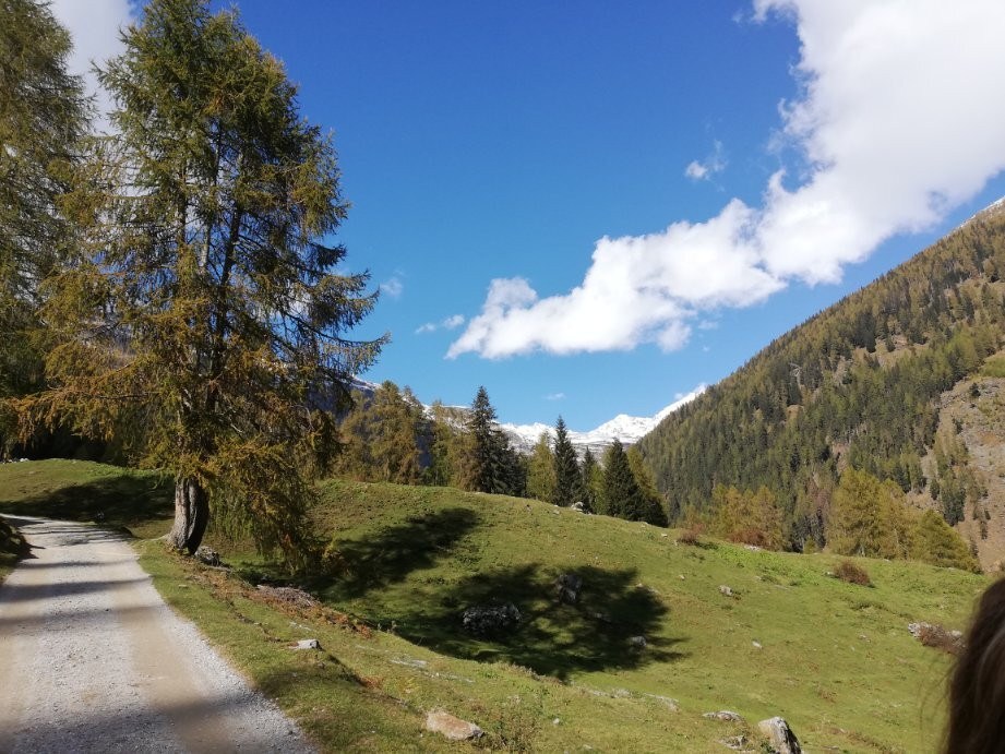 Parco Nazionale Dello Stelvio - Centro Visite di Rabbi景点图片