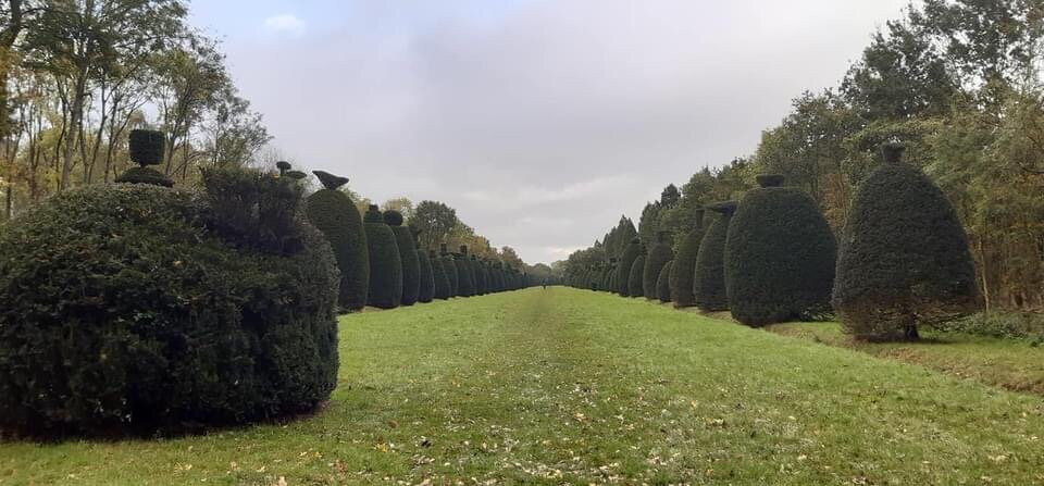 Yew Tree Avenue-Clipsham必去景点