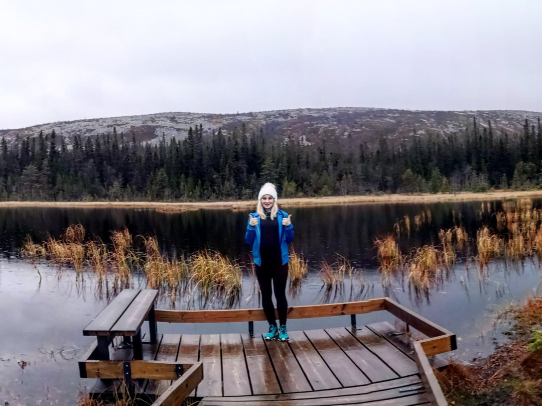 Fulufjällets National Park-Sarna必去景点