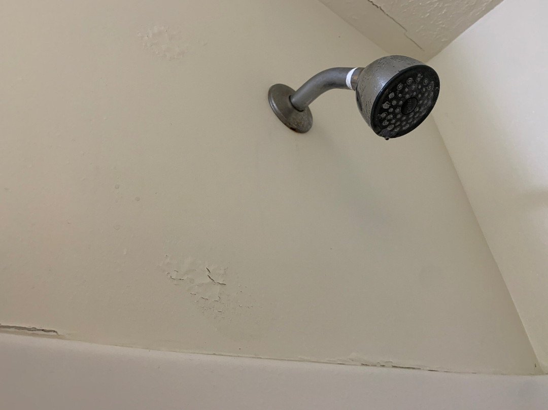 M22 Inn - Suttons Bay主图