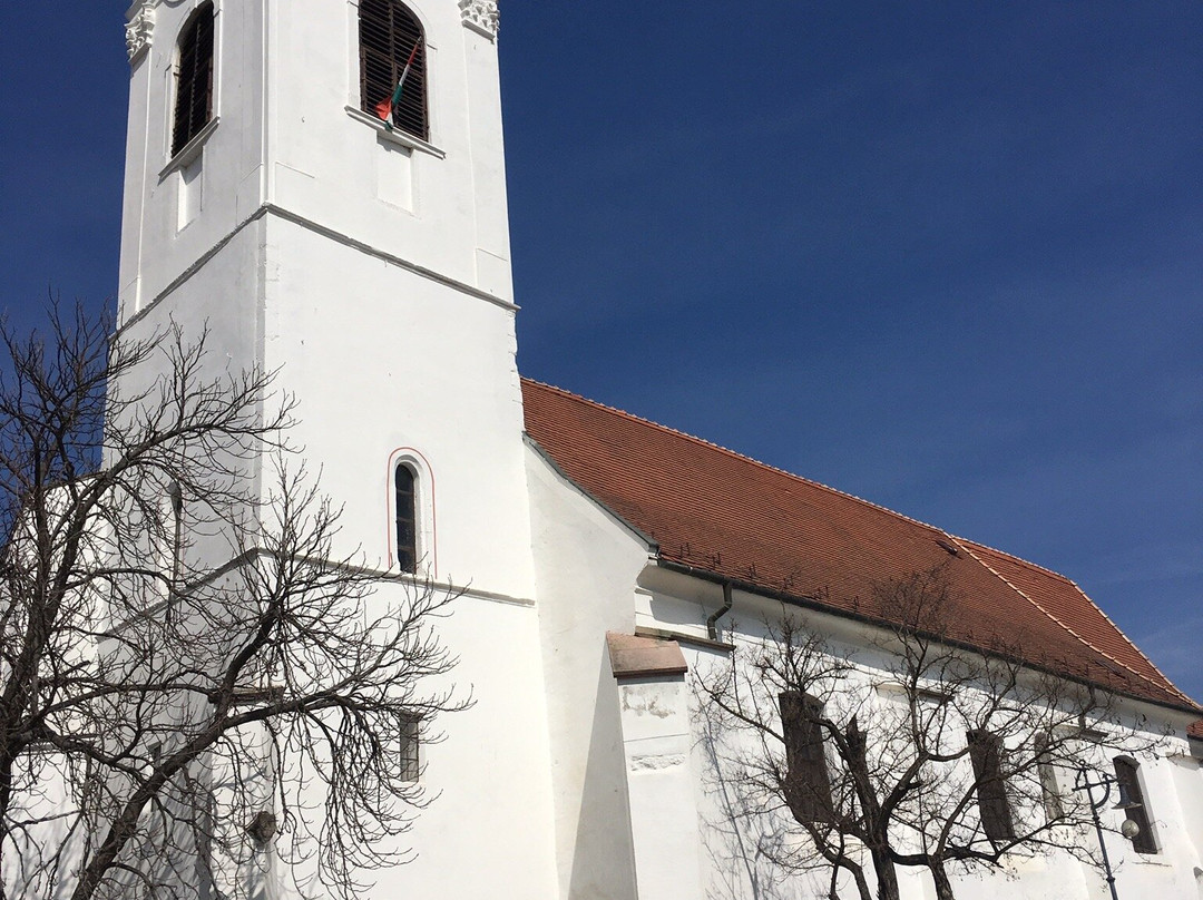 Szentendrei Keresztelő Szent János Parish Church景点图片