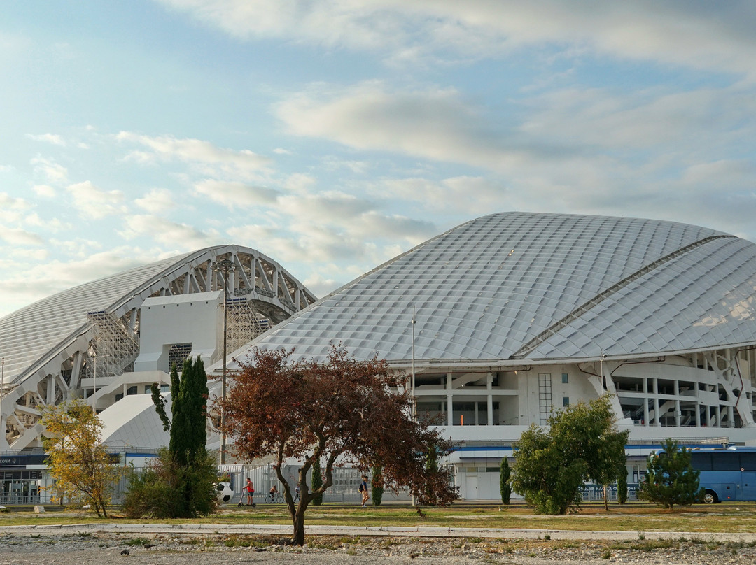 Fisht Olympic Stadium-艾德勒必去景点
