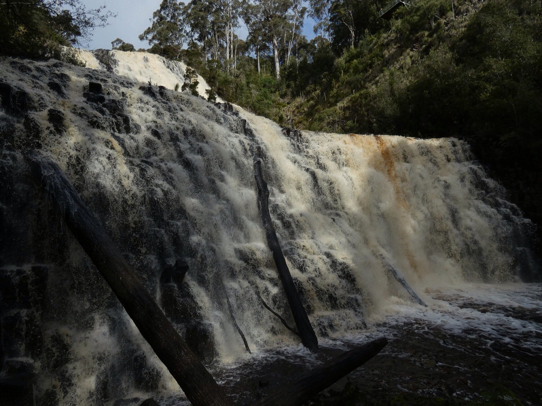 Dip River Forest Reserve景点图片