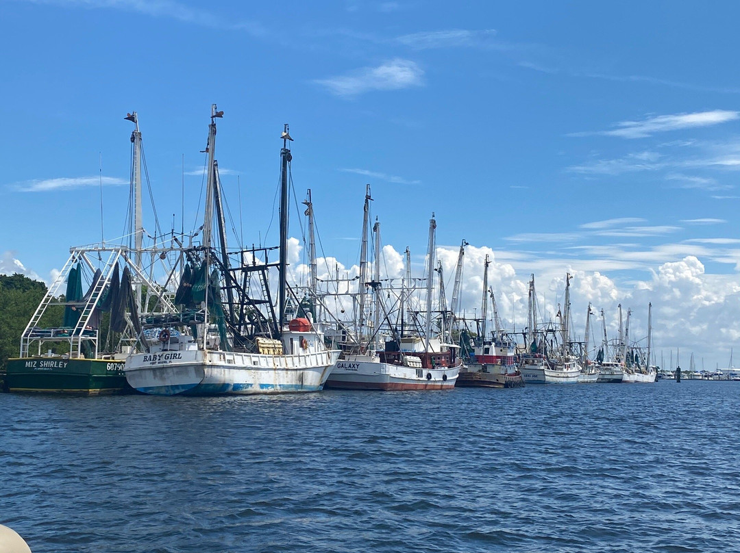 SWFL Party Pontoon-迈尔斯堡海滩必去景点