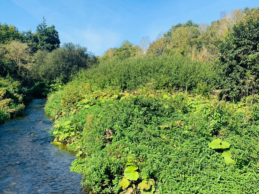 Ward River Valley Park-Swords必去景点