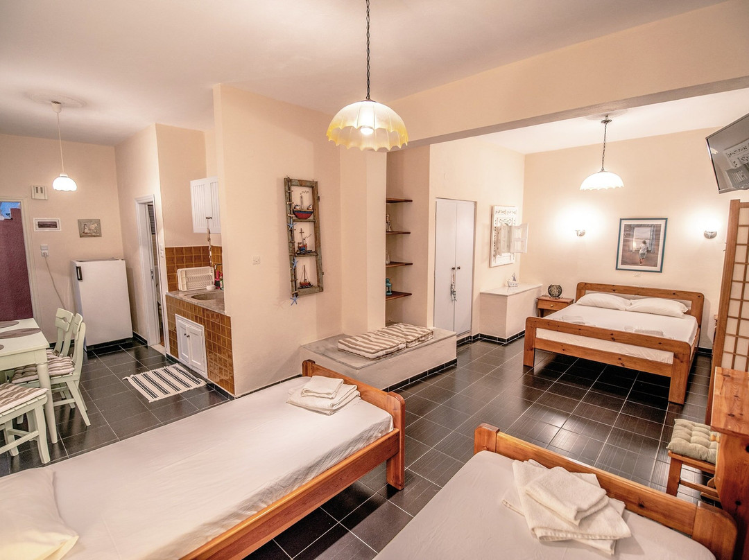 Stella Studios主图