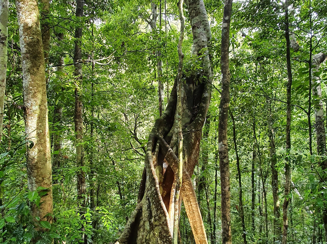 Mount Hypipamee Crater-Herberton必去景点