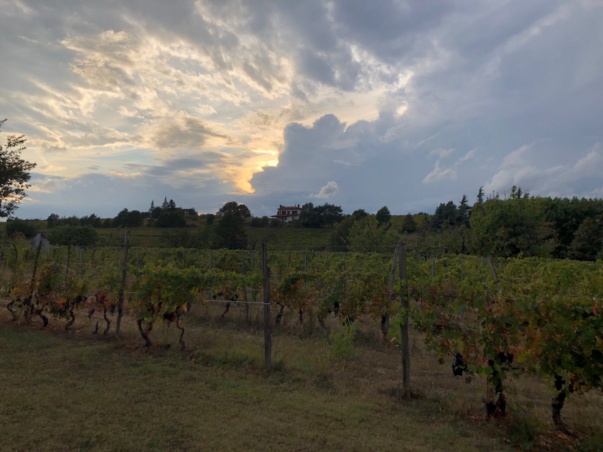 Cascina la Maddalena Bed & Wine-官方