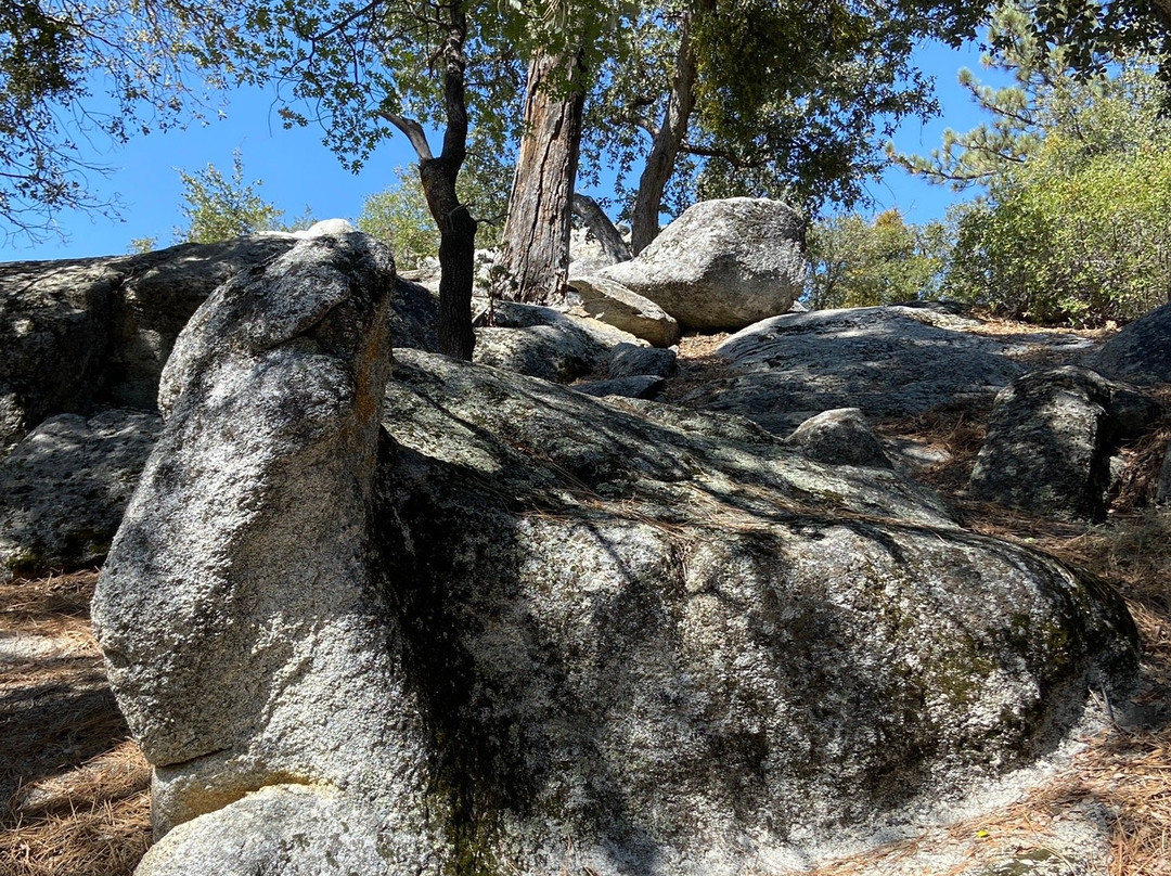 Idyllwild Nature Center-Idyllwild必去景点