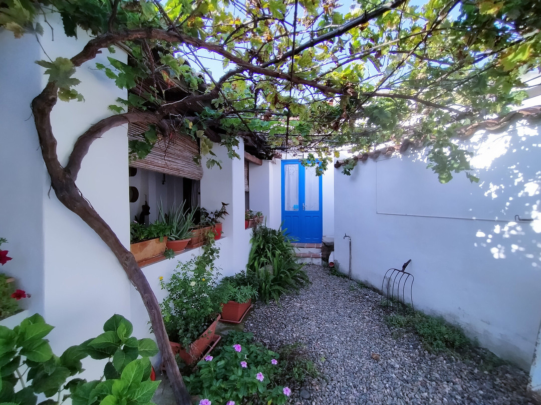 马蒂娜B&B酒店主图