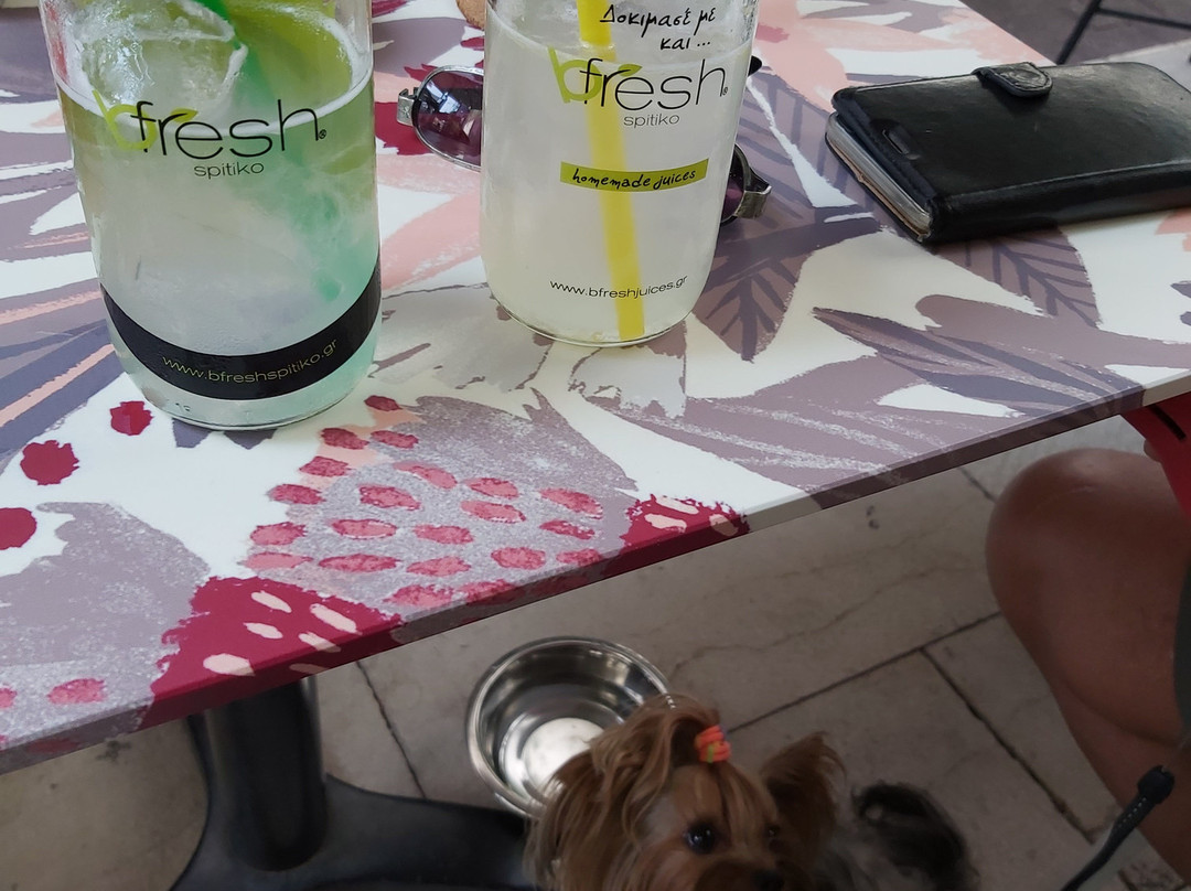 Kochlias Coffee Gallery-Mesolongion必去景点