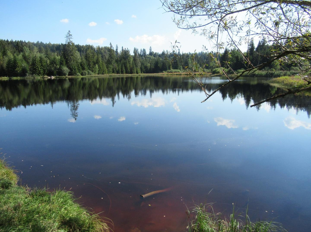 Etang des Royes-Saignelégier必去景点