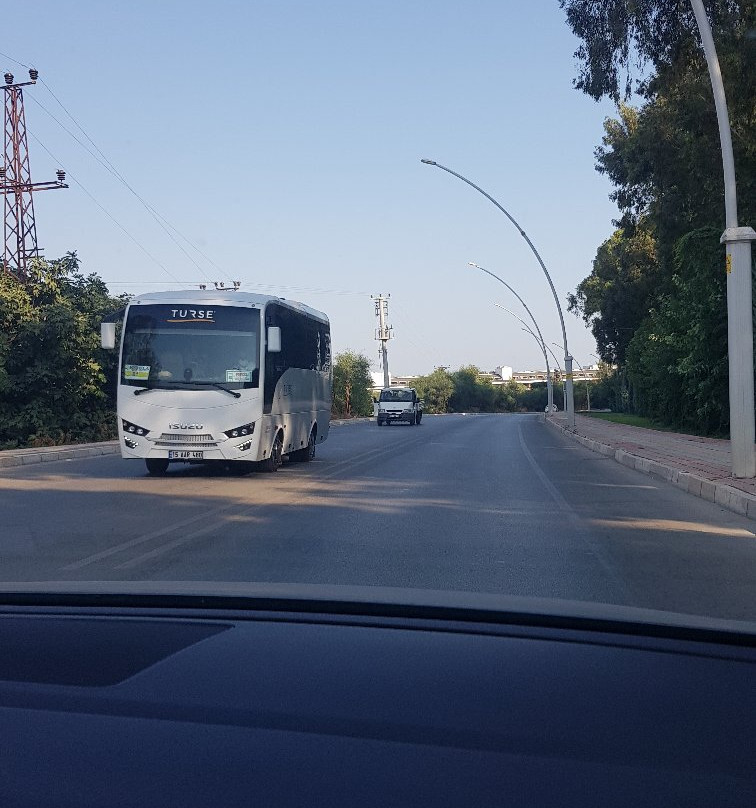 Belek Town Mosque景点图片