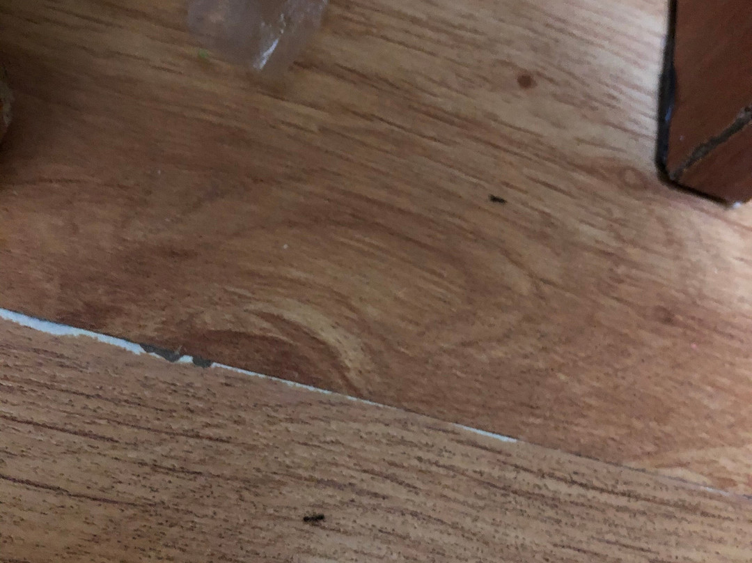 ANI na Severnoy主图