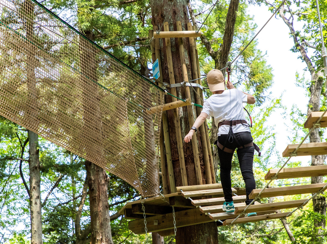 Forest Adventure Tarzania-长柄町必去景点
