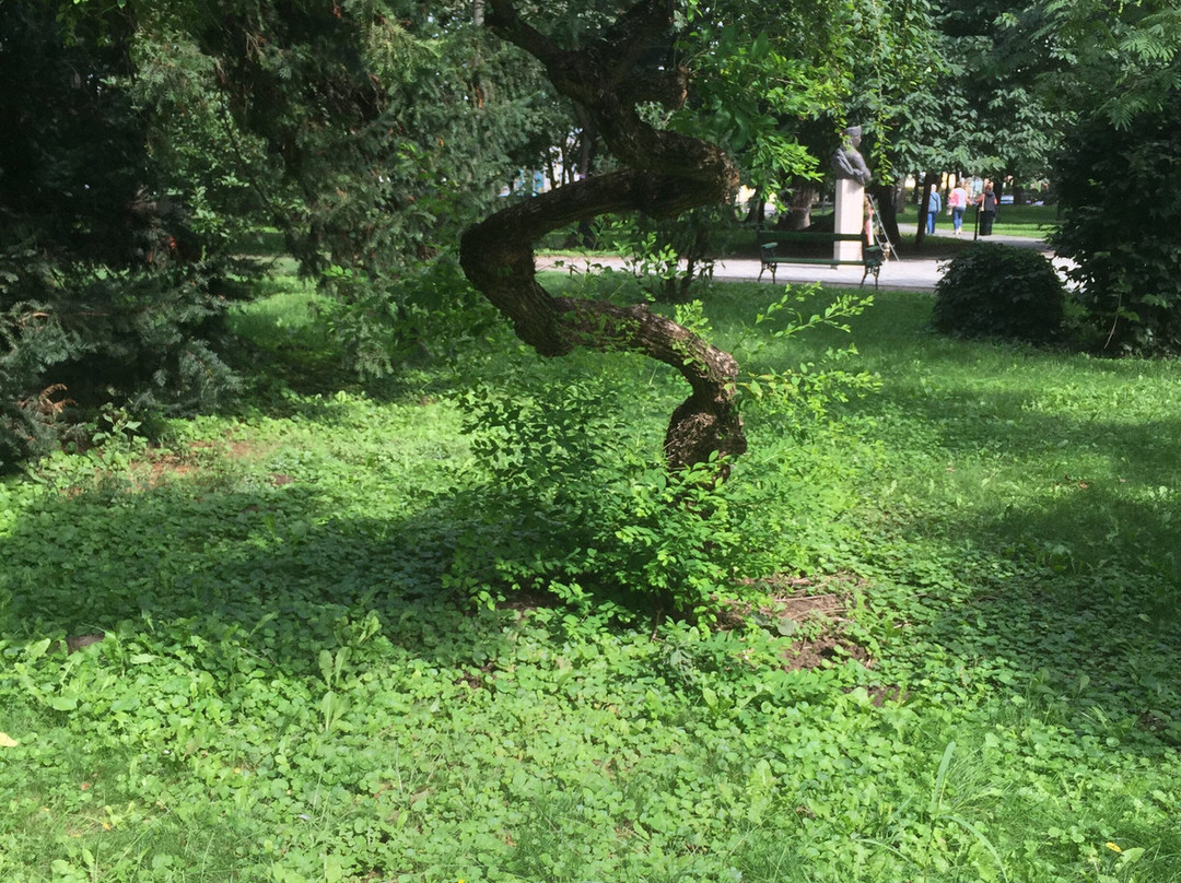 Parc Dendrologic景点图片