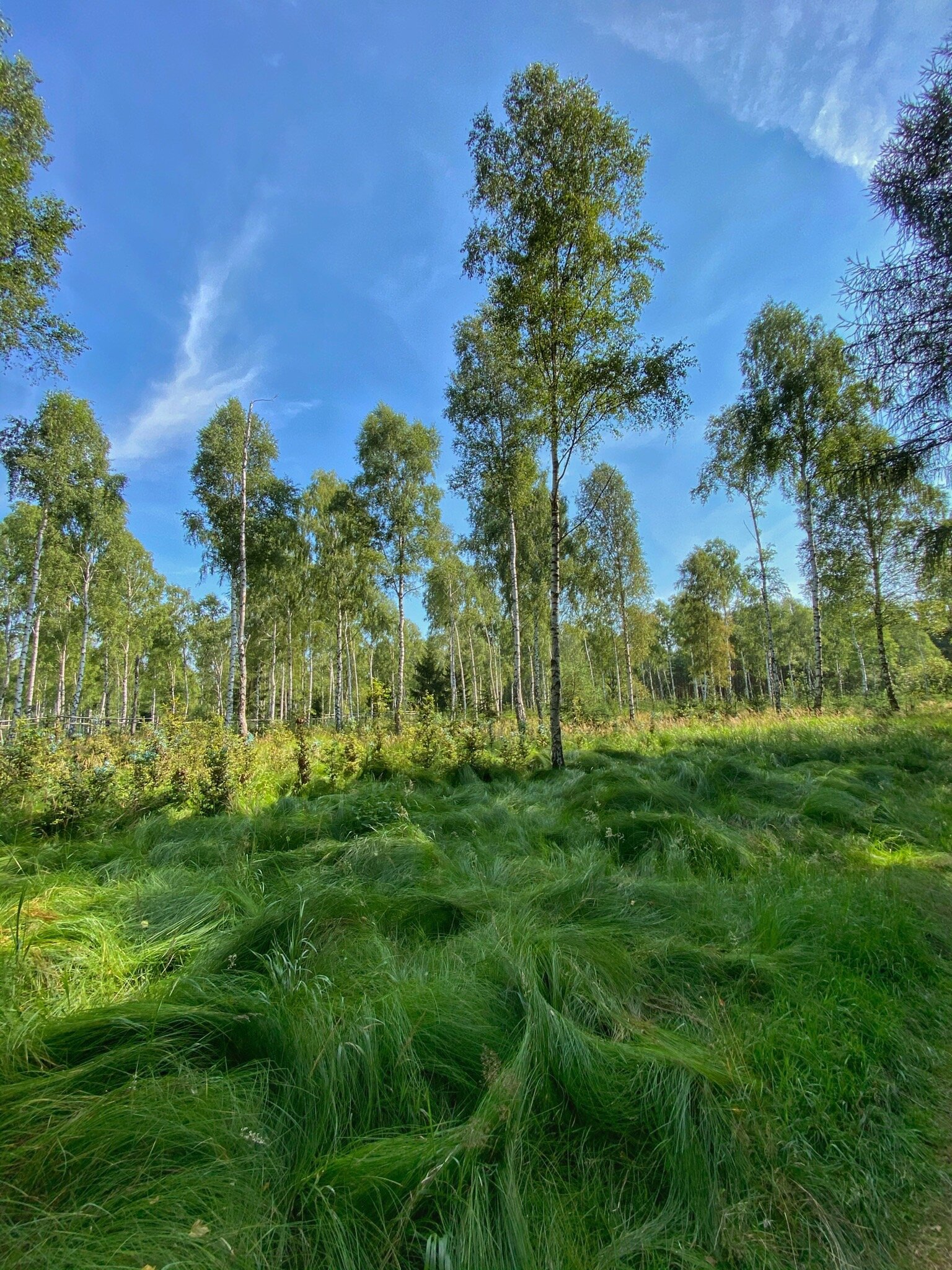 奥斯特鲁夫皮特劳恩酒店-官方