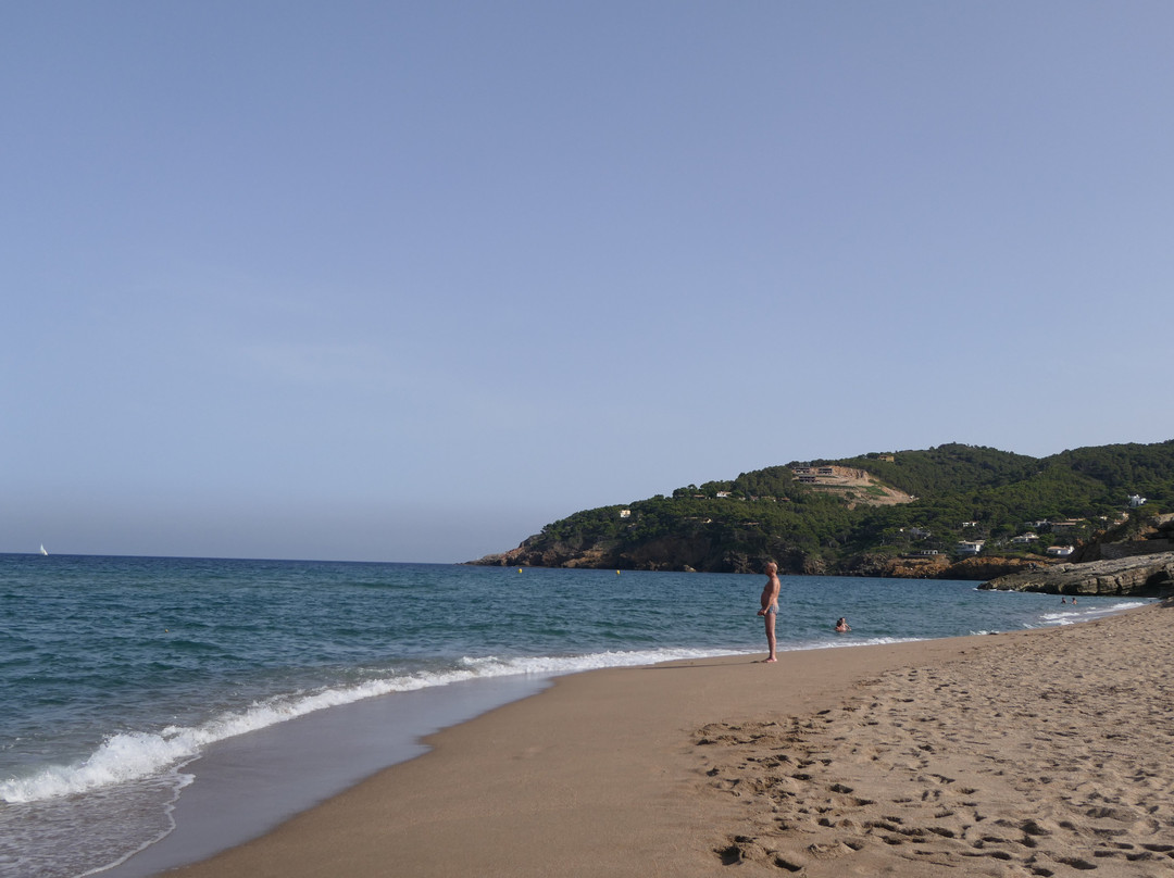 Hostal Barris B&B主图