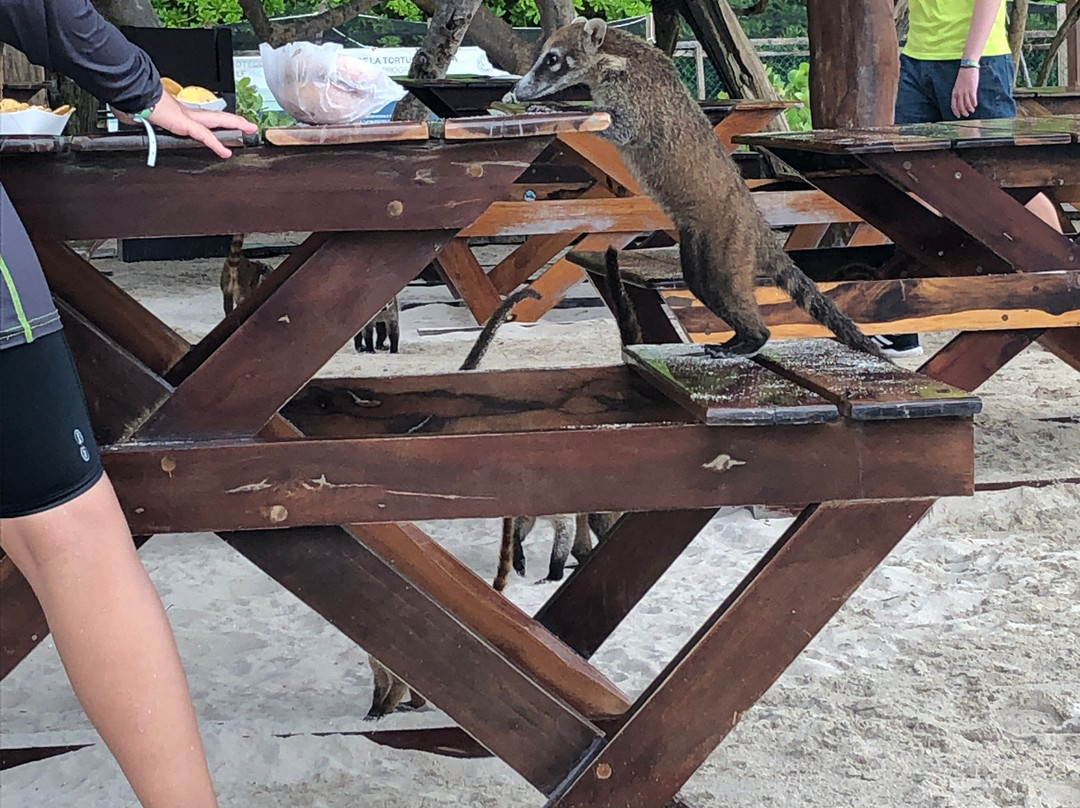 Iberostar Waves Paraíso Beach主图