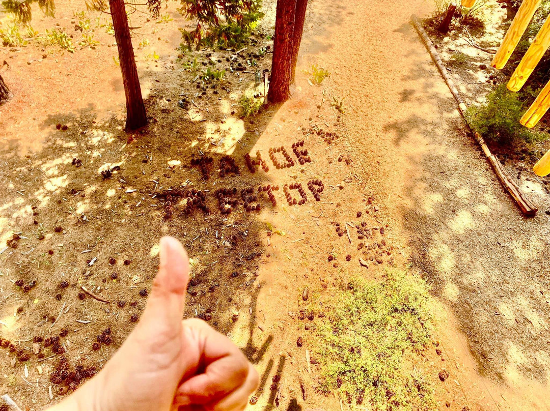 Basecamp Tahoe City主图