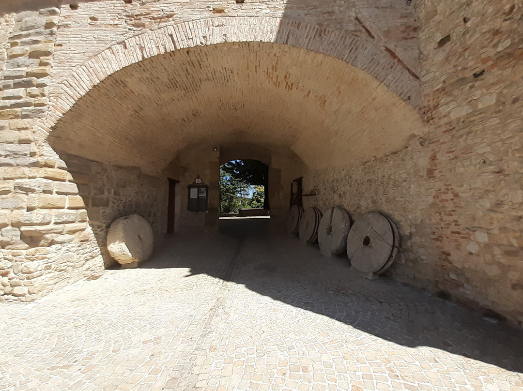 Castello dei Conti Oliva景点图片