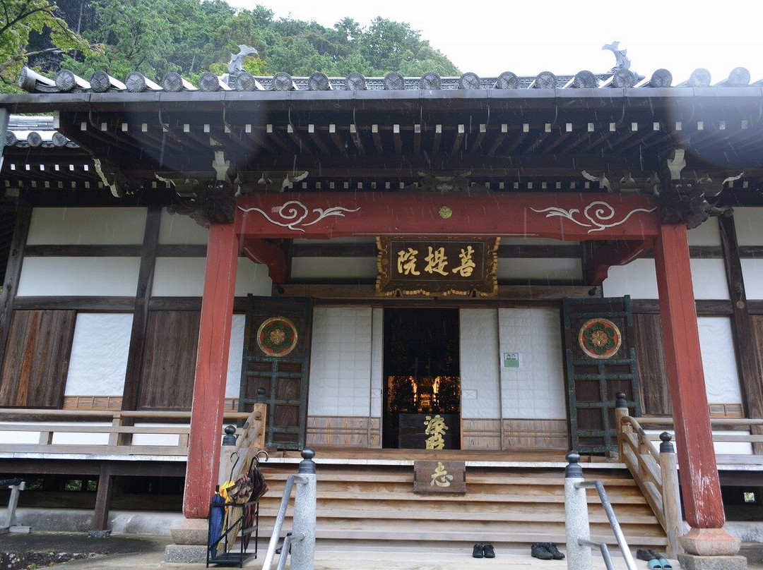 Mt. Garyu Gyoukiji Temple-海津市必去景点