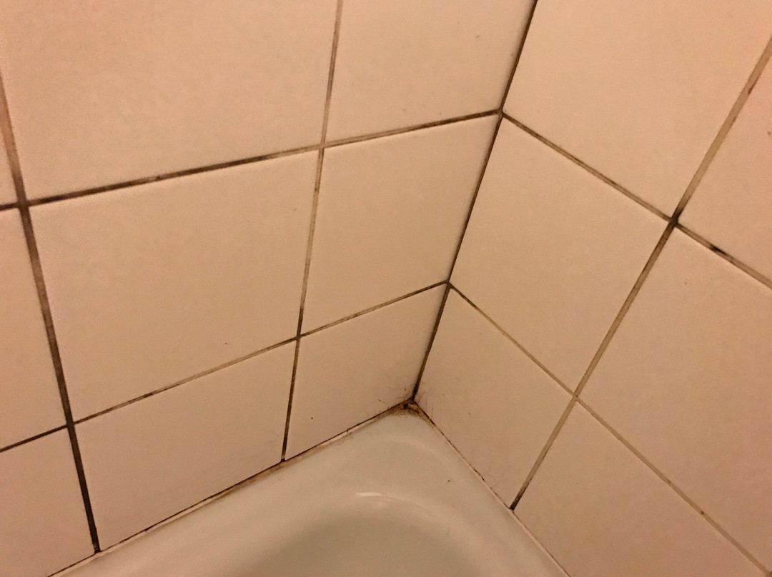 Vital Hotel Novina