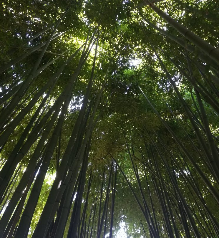 Le Jardin de Planbuisson景点图片