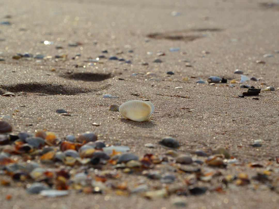 Krasivoe Mesto Hotel主图