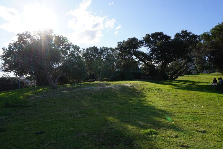 Dunningham Reserve-库吉海滩必去景点