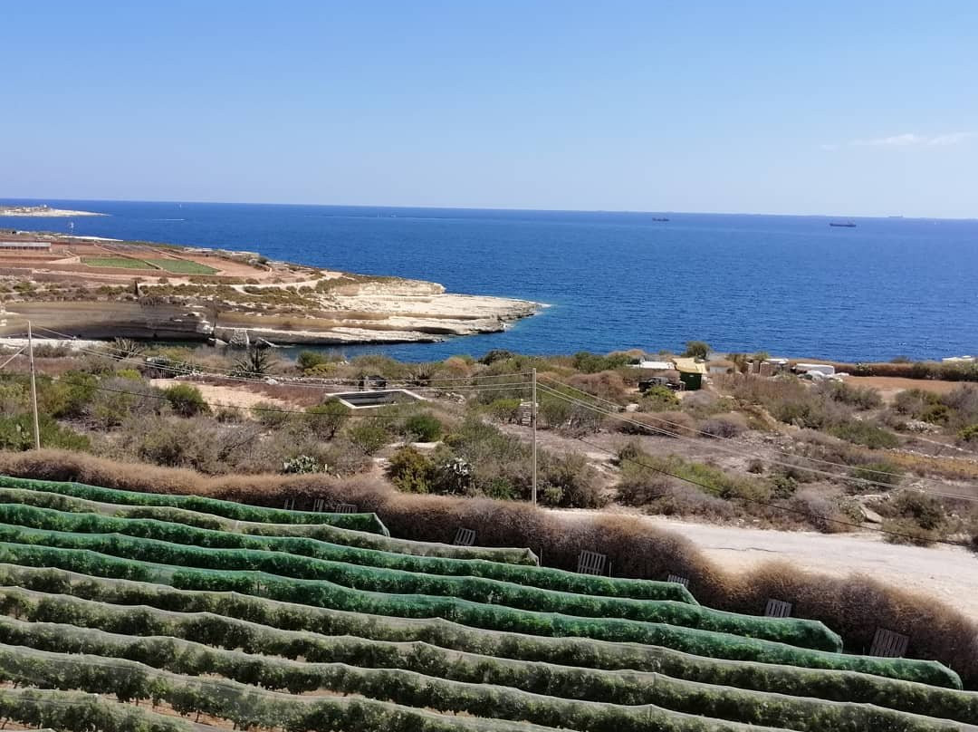 Fort Delimara-Marsaxlokk必去景点