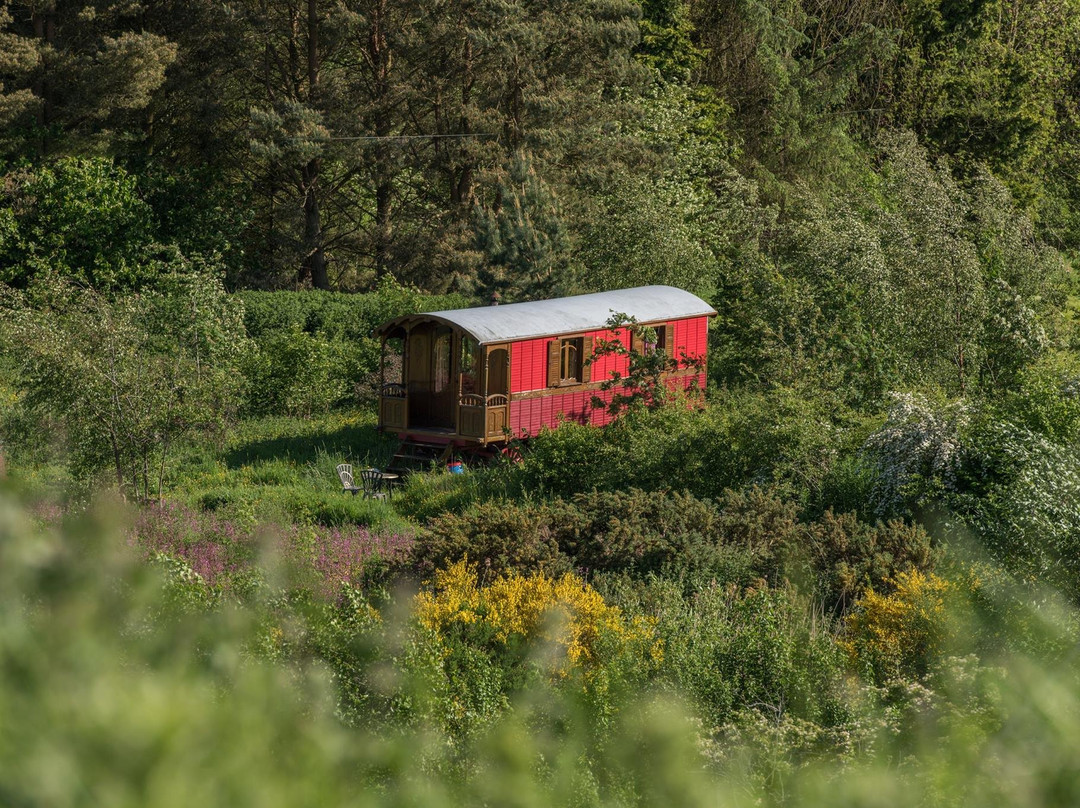 Roulotte Retreat