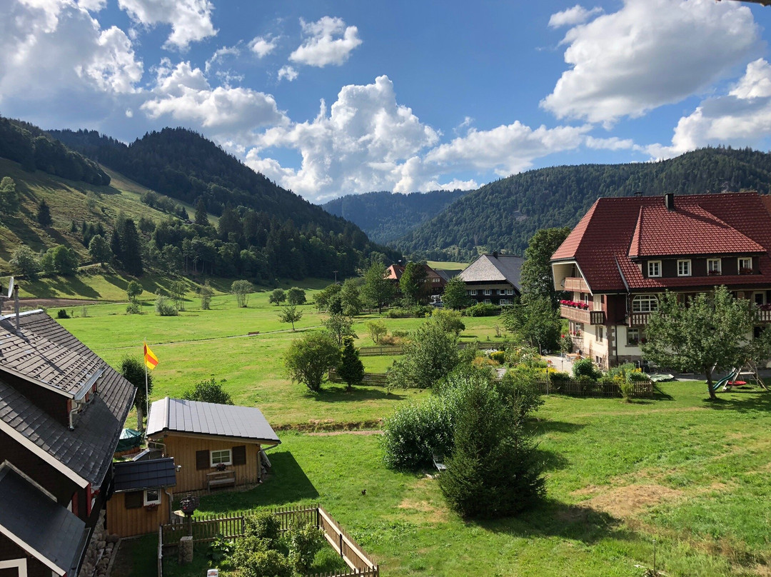 Gastehaus Wild主图