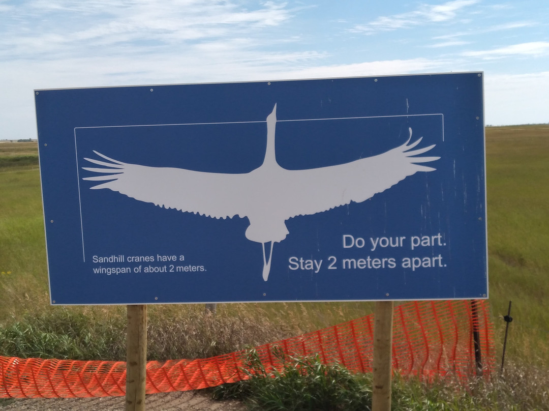 Last Mountain Lake National Wildlife Area-萨斯喀彻温省必去景点