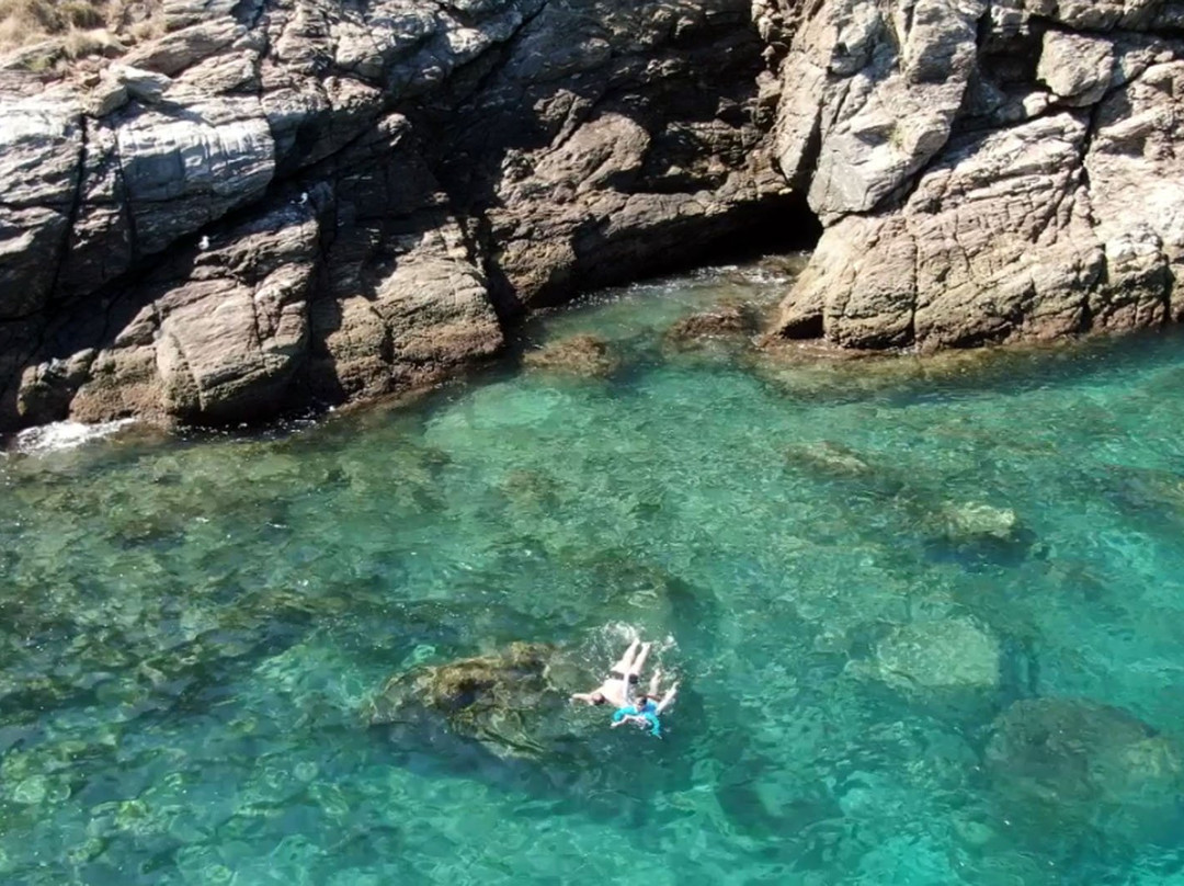 Papagaios Island-卡布弗里乌必去景点